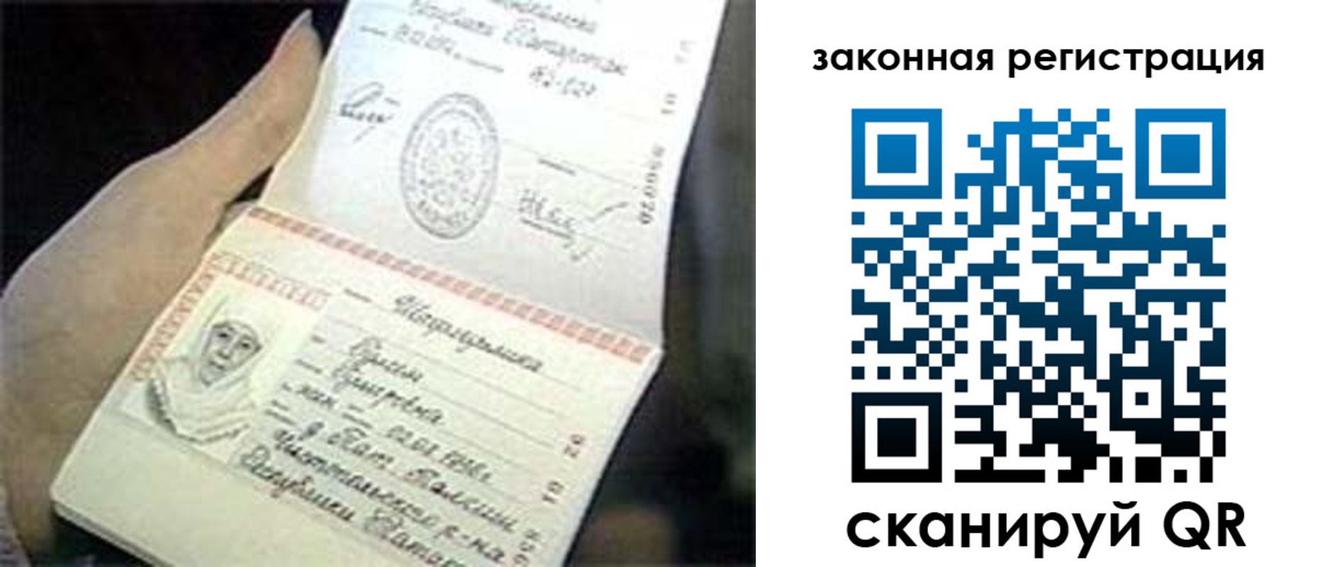 прописка для школы в Липецке